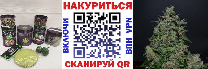 закладки  Яхрома  Cannafood конопля 