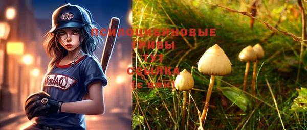 мдпв Вязники
