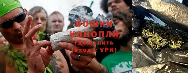 мдпв Вязники