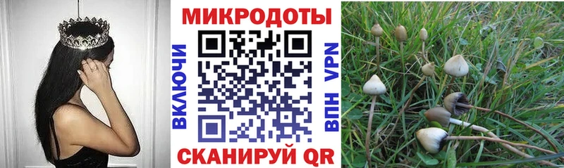 хочу наркоту  Яхрома  Галлюциногенные грибы мицелий 